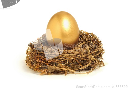 Image of Golden nest egg representing retirement savings