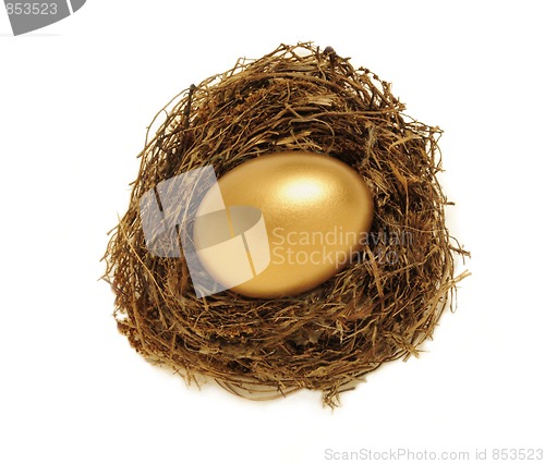 Image of Golden nest egg representing retirement savings