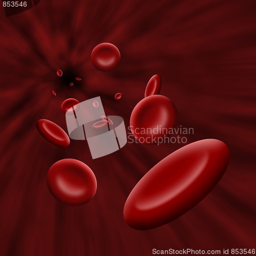 Image of Platelet cells flowing through bloodstream