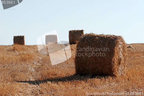 Image of Straw bales