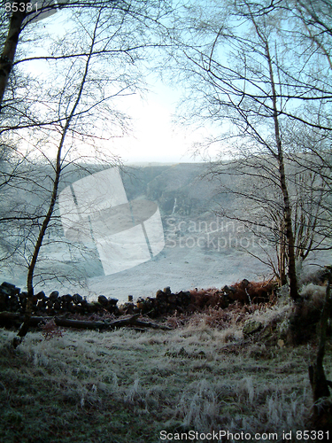 Image of Corrie from the woods