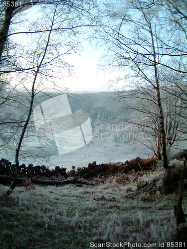 Image of Corrie from the woods