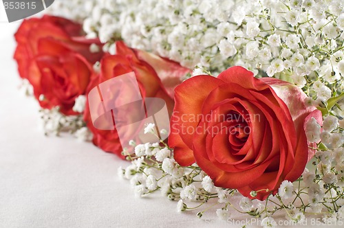 Image of Roses