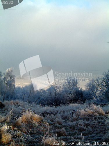 Image of Endrick valley in frost