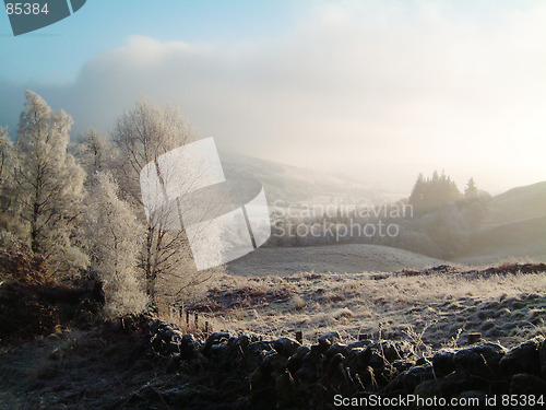 Image of Frosty valley