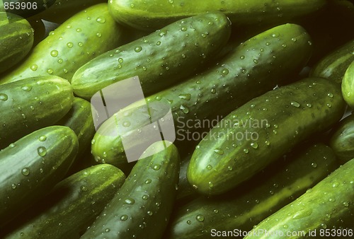 Image of Pile of fresh cucumbers lying diagonally