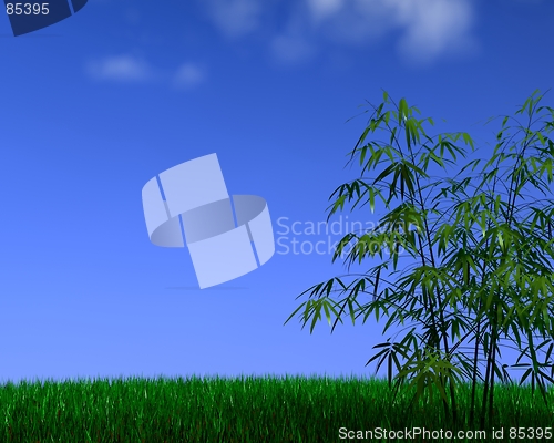 Image of bamboo on grass