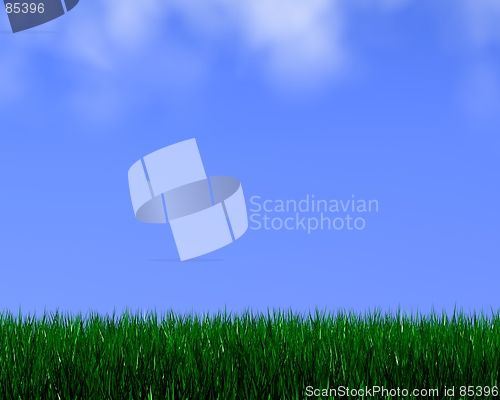 Image of bright grass