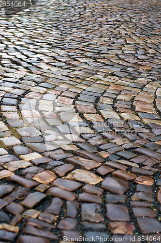 Image of Wet paving stone