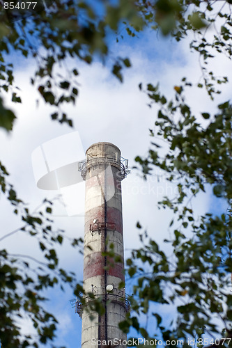 Image of Pipe in a foliage