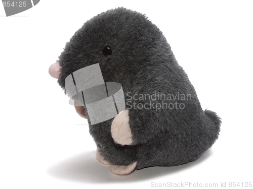 Image of Gentleman in black velvet isolated toy 1