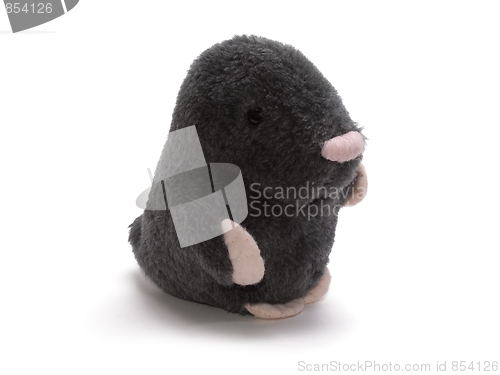 Image of Gentleman in black velvet isolated toy 2