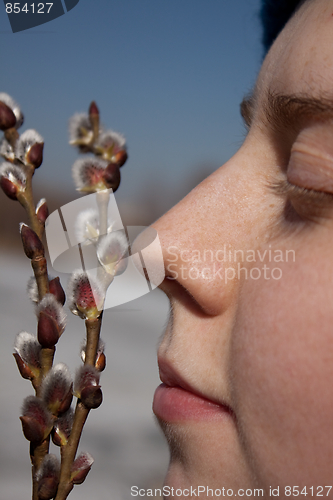 Image of Spring has come to Moscow 1