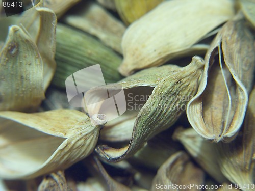 Image of Cardamom pods