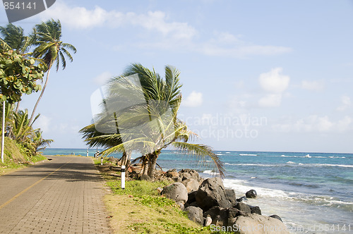 Image of malecon by caribbean sea corn island nicaragua