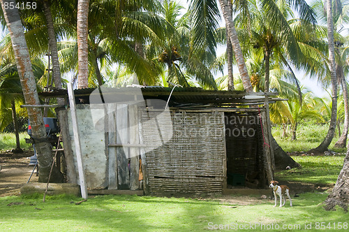 Image of storage shed in jungle architecture big corn island nicaragua