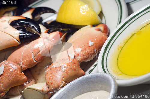 Image of florida stone crab claws