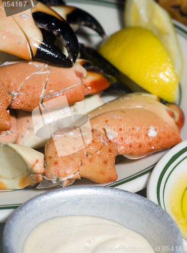 Image of florida stone crab claws