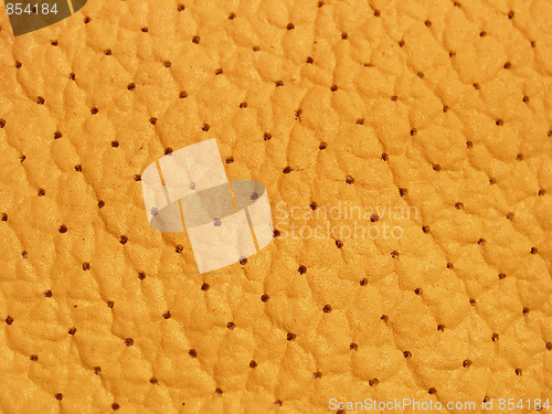 Image of leather