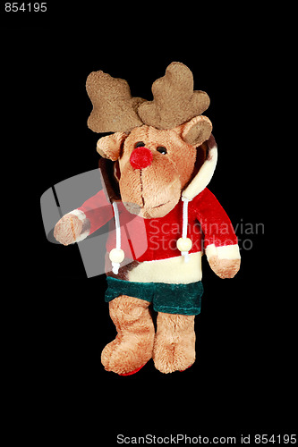 Image of Stuffed Animal 