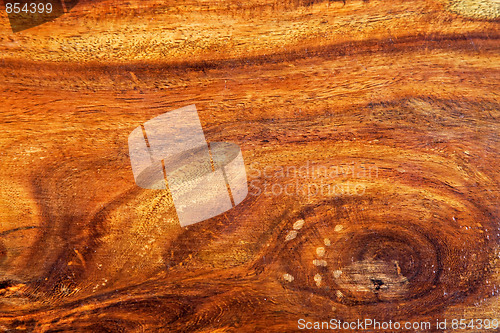 Image of Knotted hard wood