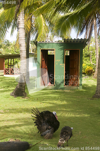 Image of outdoor toilets big corn island farm nicaragua