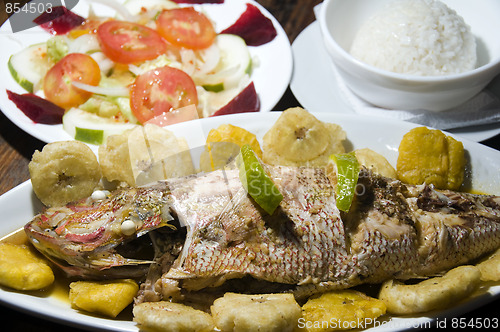 Image of fish dinner with tostones rice salad big corn island nicaragua