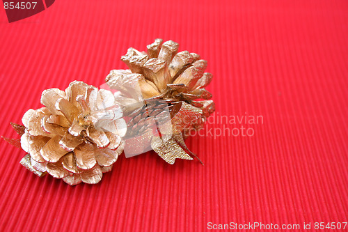 Image of Pine Cones