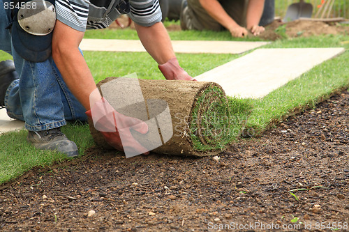 Image of Laying sod for new lawn