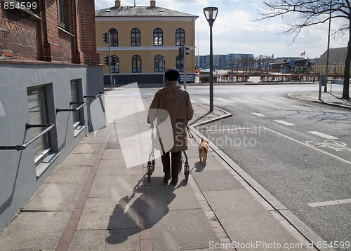 Image of Disabled with dog