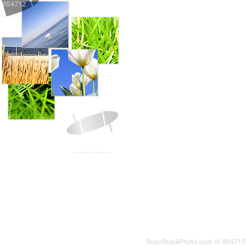 Image of Nature collage.