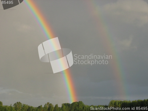 Image of Rainbows