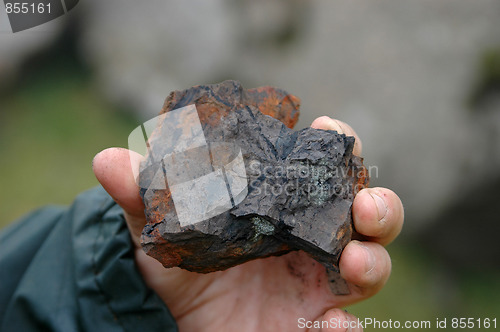 Image of Fossil in hand