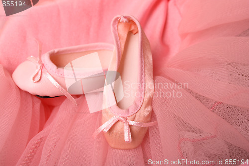 Image of Ballet Shoes