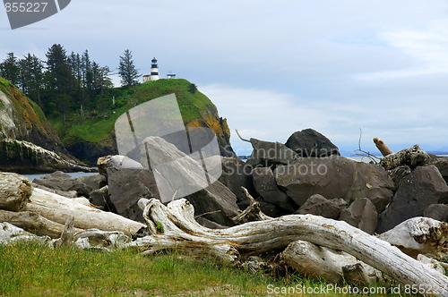 Image of Driftwood View of Cape Disappointment