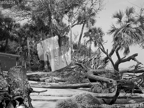 Image of Hunting Island Beach After Hurricane