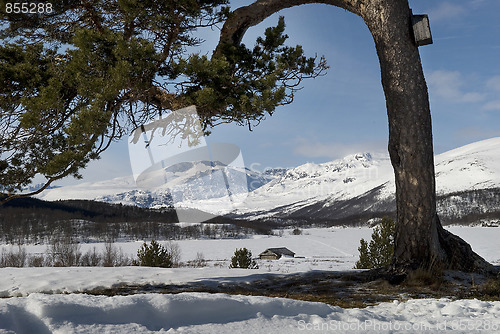 Image of Mountain landscape