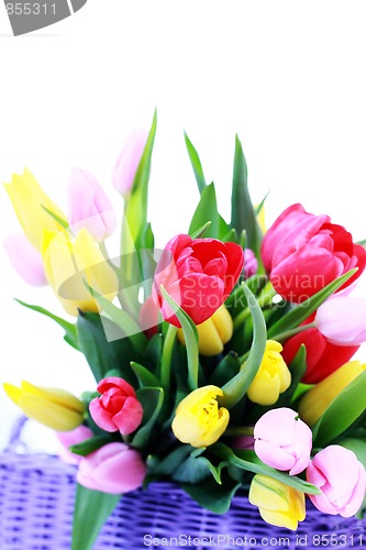 Image of basket full of tulips