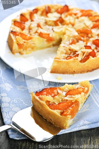 Image of Slice of apricot and almond pie