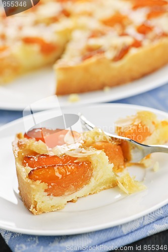 Image of Slice of apricot and almond pie