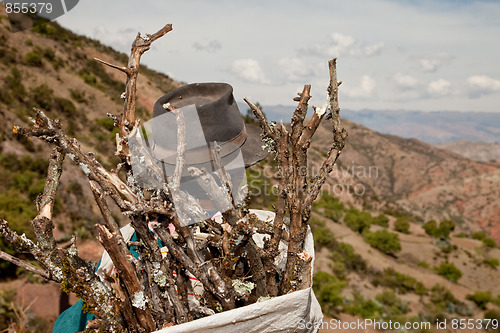 Image of Woman With Firewood, Peru