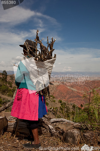 Image of Woman With Firewood, Peru