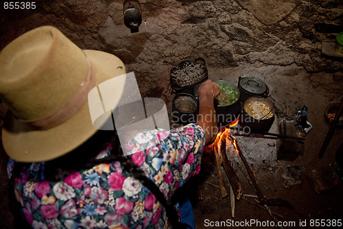 Image of Cooking Woman In Hut, South America