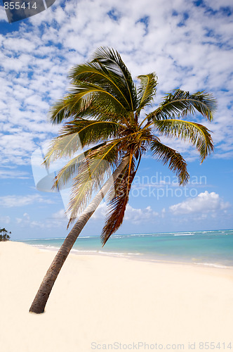 Image of Exotic beach