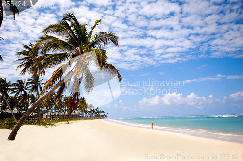 Image of Tropical beach