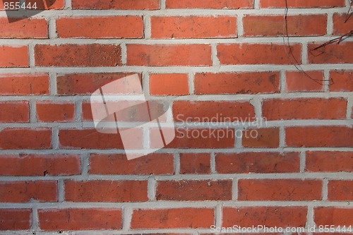 Image of brick wall