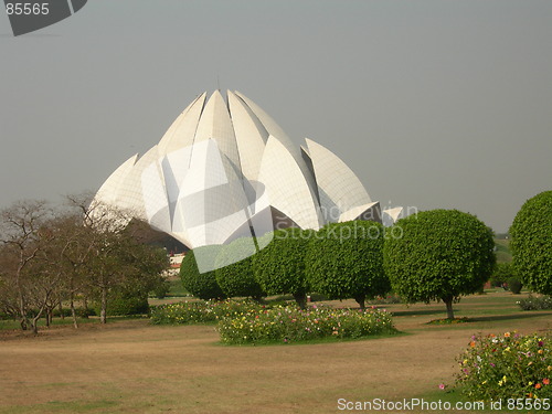 Image of Lotus Blossom