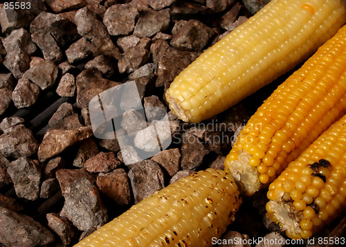 Image of Corn