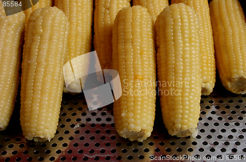 Image of Corn #2