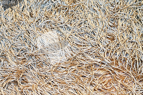 Image of Spaghetti carpet